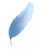 pluma2